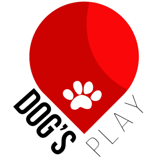 https://dogsplay.com.br/wp-content/uploads/2020/08/cropped-logo-dogs-play-pt.png