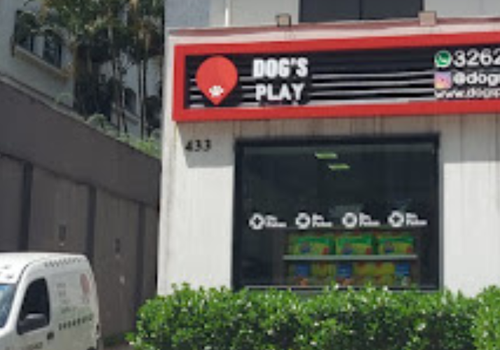 a-diferenca-entre-a-dogs-play-e-seus-concorrentes
